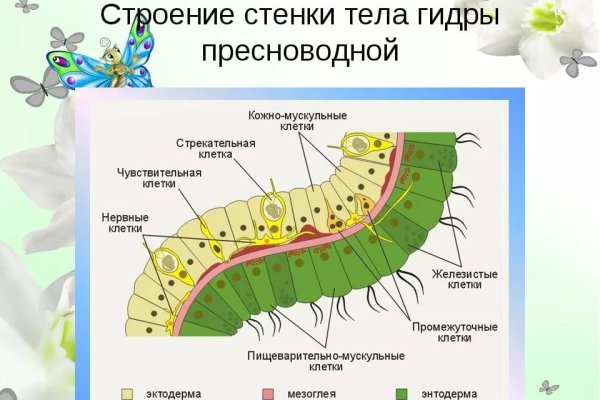 Кракен маркетплейс ссылка на сайт