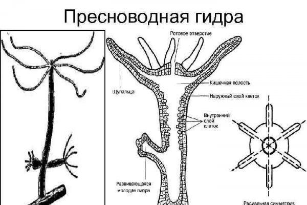 Что случилось с кракеном сайт